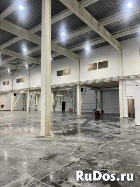 Сдам коммерческую недвижимость 1454 м2 изображение 7