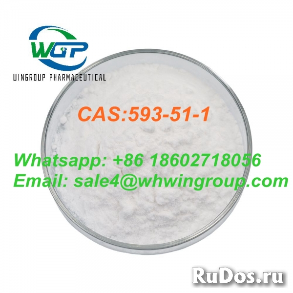 Fast Delivery Pure 99% Methylamine Hydrochloride CAS 593-51-1 фото