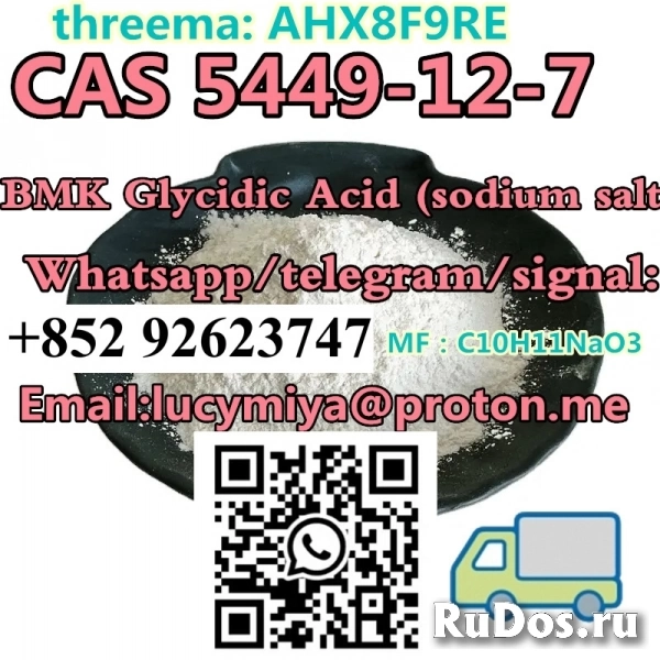 CAS 5449-12-7 New BMK  (sodium salt) изображение 3