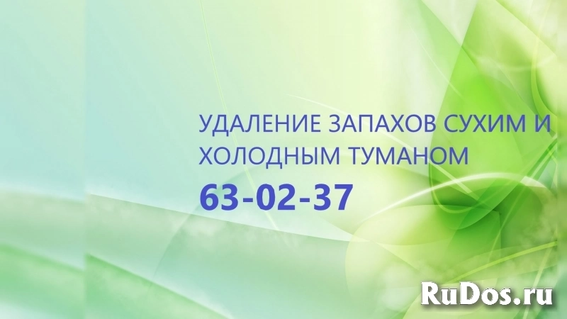 Уничтожение неприятного запаха после смерти человека изображение 3