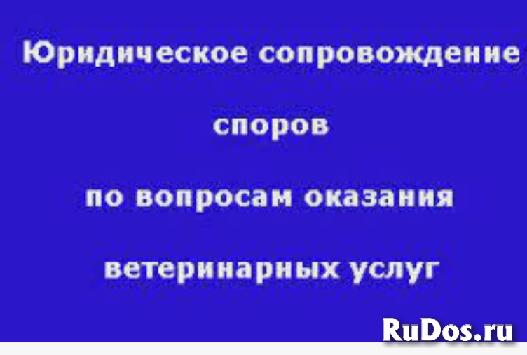 Юридические споры с Ветеринарными клиниками в С-Петербурге и ЛО изображение 3