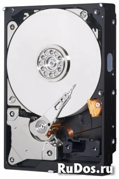 Жесткий диск Western Digital WD3000FYYZ фото