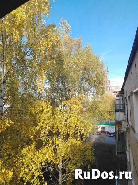 Продам 1 комнатную квартиру 29 м2 изображение 6