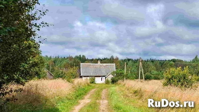 Дом на уютном хуторе у хвойного леса под Псковскими Печорами, 6 Га. земли объявление Дом на уютном хуторе у хвойного леса под Псковскими Печорами, 6 Га. земли фотка
