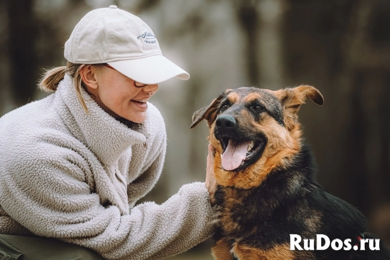 Фьючерс - настоящий медвежонок! В добрые руки изображение 9