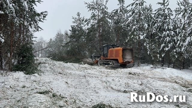 Расчистка 24/7, мульчирование от 1 Га, выкорчевка изображение 10