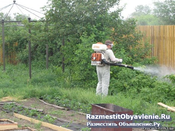 Борьба с клещами и кротами на участке Дмитров фотка
