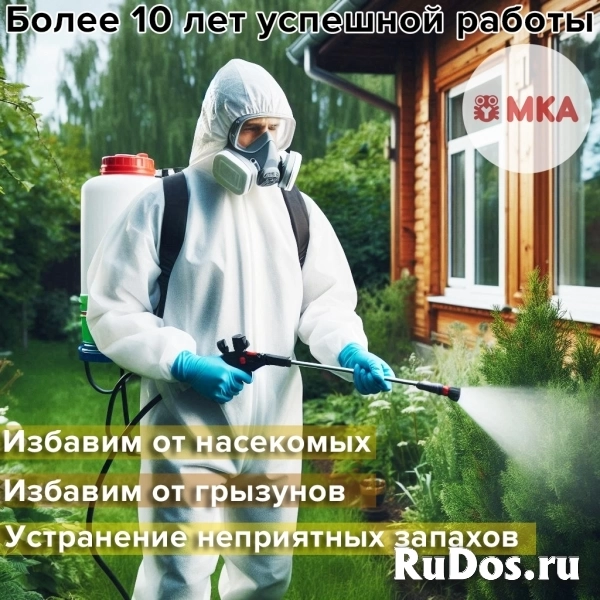 Служба дезинфекции «УМКа» - Дезинфекция, дезинсекция и дератизация фото