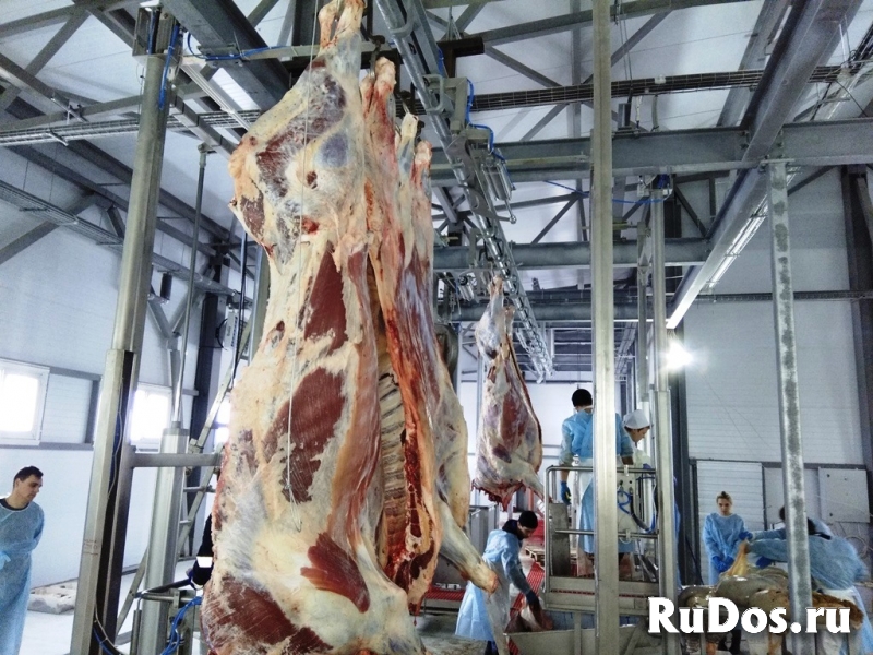 Подвесной трубчатый путь для линии убоя фотка