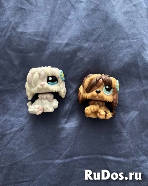 Littlest pet shop фото