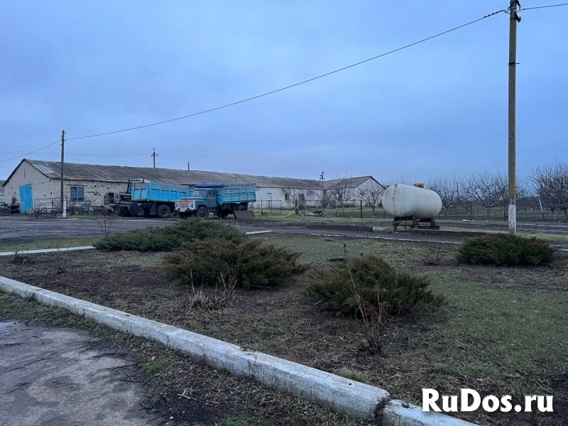 Агрохозяйство 4500 м.кв,Старобешево изображение 5