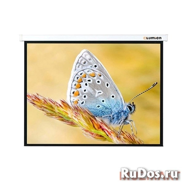 Проекционный экран 117x200 Lumien LMC-100118 Master Control Matte White фото