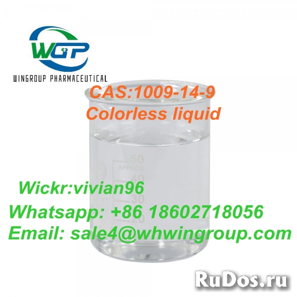 Factory Supply High Purity Valerophenone CAS:1009-14-9 Liquid фото