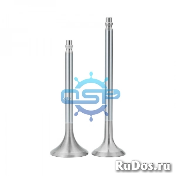 sell D49 exhuat valve (11D40.84.1SPCH-4) фото