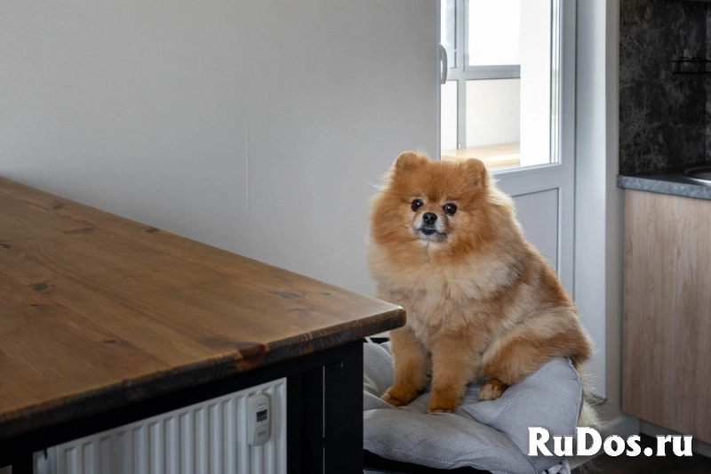 Продам 1 комнатную квартиру 21 м2 изображение 7