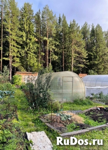 Продам дом 29 м2 фотка
