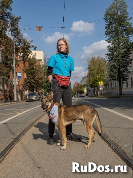 Звезда в добоые руки! фотка