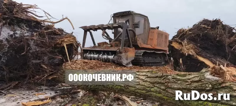 Расчистка участков от 1 га под «ключ» изображение 7