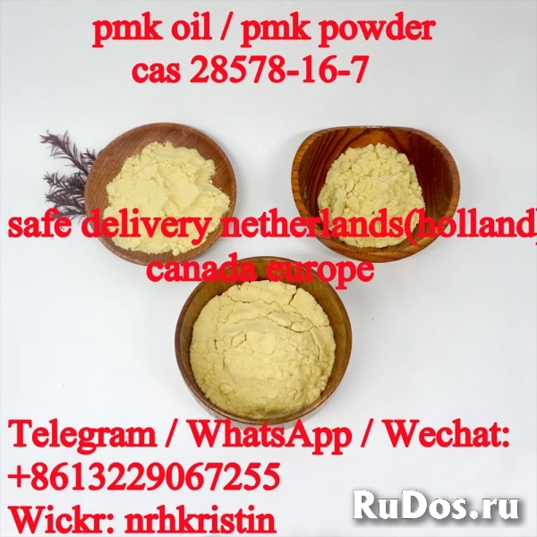 New Pmk Oil CAS 28578-16-7 Pmk Powder /New Bmk Oil CAS 459-03-0 фото