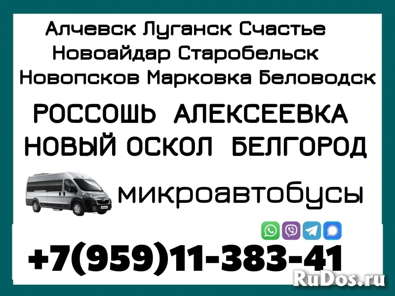 Микроавтобус Алчевск - Луганск - Новый Оскол - Белгород. фото