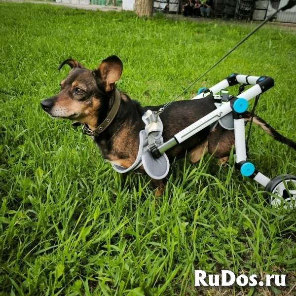 Чудесный мальчик Митя из приюта ищет семью. фото
