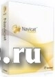 PremiumSoft Navicat Premium Essentials 1 User Licenses (price per user) (Windows) Арт. фото