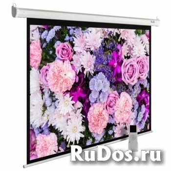 Экран Cactus CS-PSME-420X315-WT 4:3 настенно-потолочный рулонный белый (моторизованный) фото