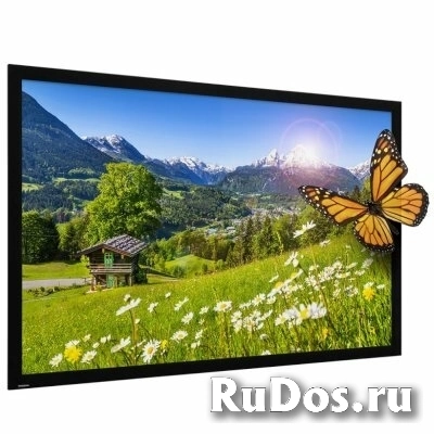 Экран для проектора Projecta HomeScreen Deluxe 10600506 фото