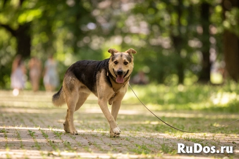 Барри ищет своего человека! изображение 7
