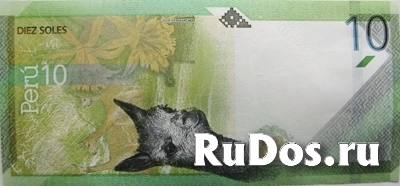 Банкнота Перу 10 солей 2019 года фотка