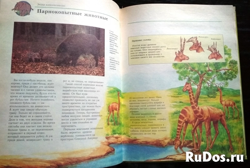 книга Мэтьюс Руперт. Что было до нашей эры изображение 6