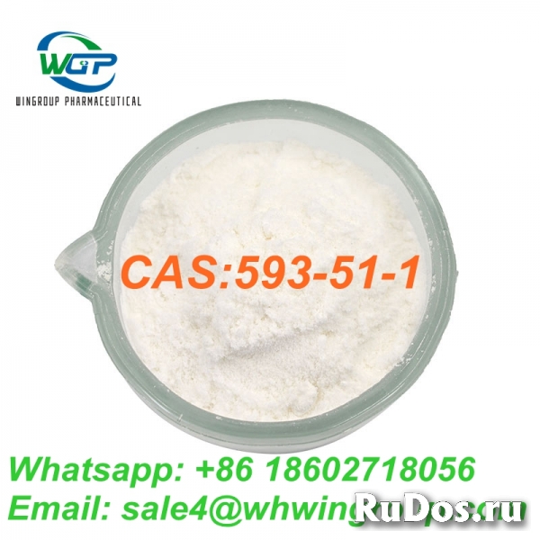 Fast Delivery Pure 99% Methylamine Hydrochloride CAS 593-51-1 изображение 3