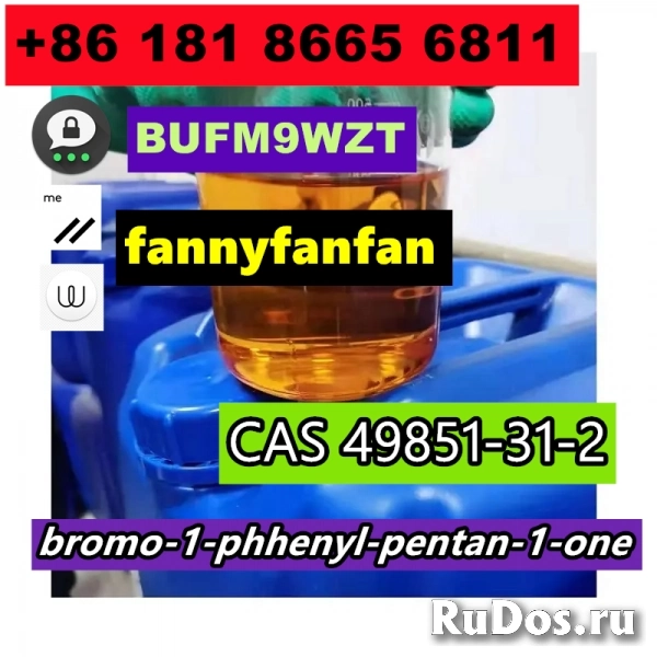 Telegram_fannyfanfann КАС 49851-31-2 бром-1-фенилпентан-1-он изображение 9