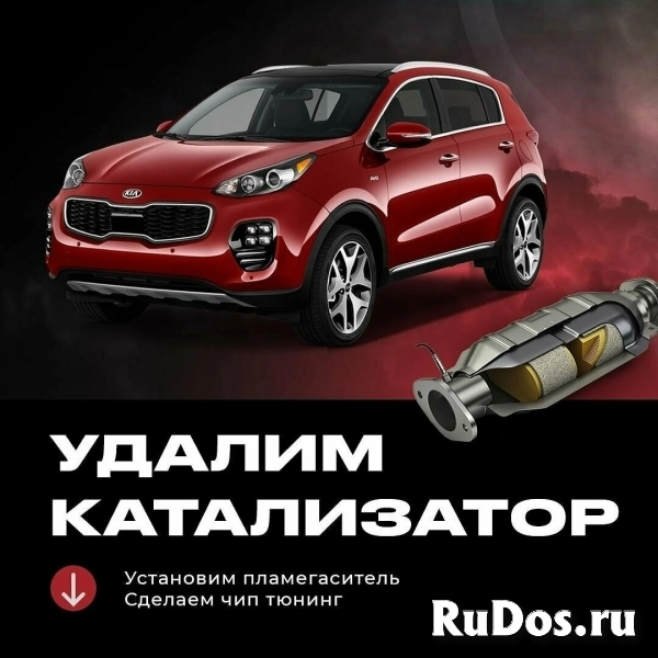 Удаление катализатора + Чип-Тюнинг фото