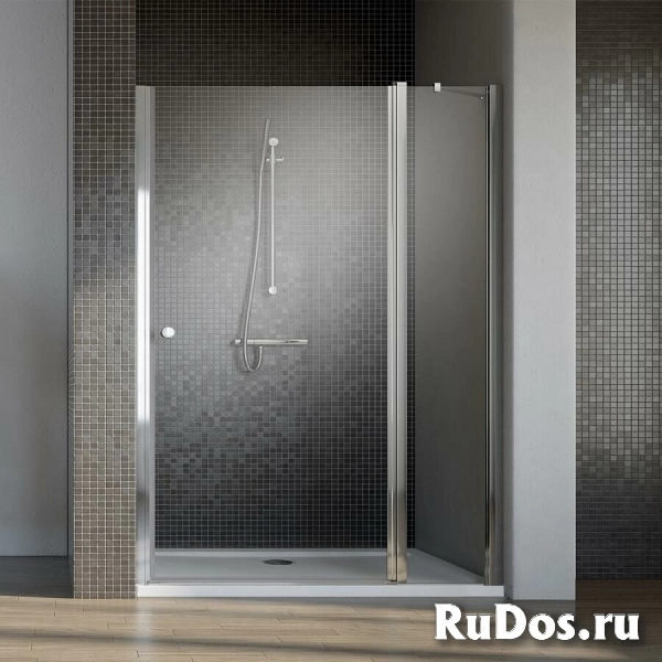 Душевая дверь в нишу Radaway EOS II DWJ 110 L фото