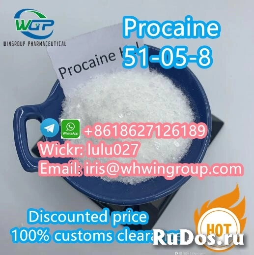 Ho Selling Procaine hydrochloride CAS 51-05-8 in Stock фото