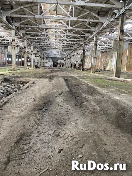Продажа заводских помещений изображение 5