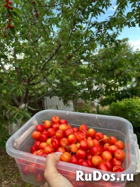 Продам дом 26 м2 фотка