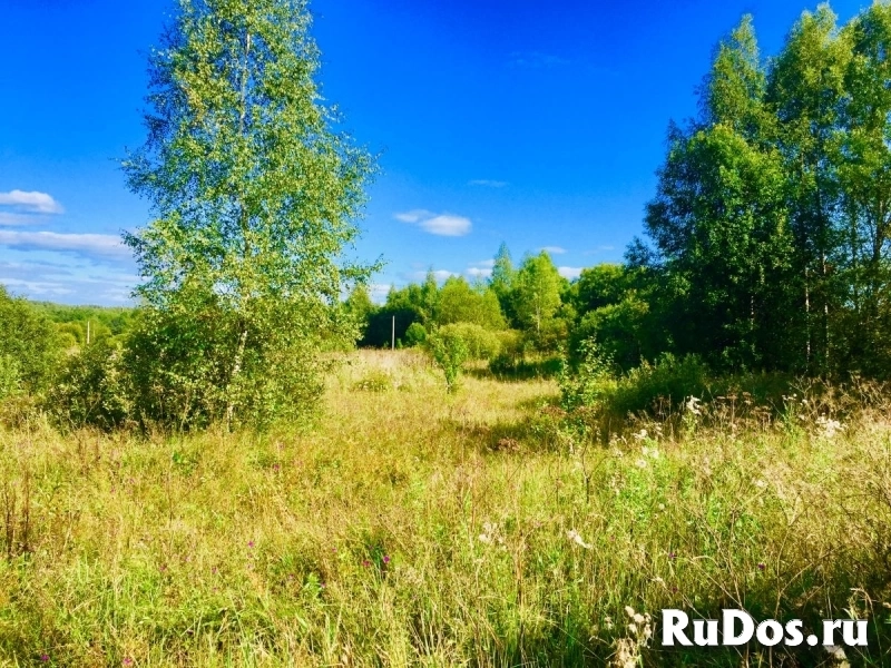 Сдаем в аренду земельный участок 6 гектар под трассу фотка