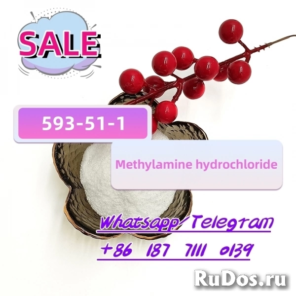 cas 593-51-1 Methylamine hydrochloride изображение 3