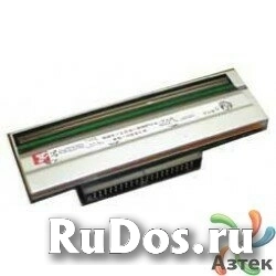 Печатающая термоголовка Datamax M-4308 (300 dpi) фото