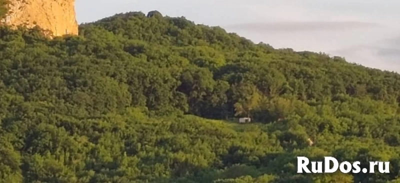 Продам участок 20 сот. изображение 7