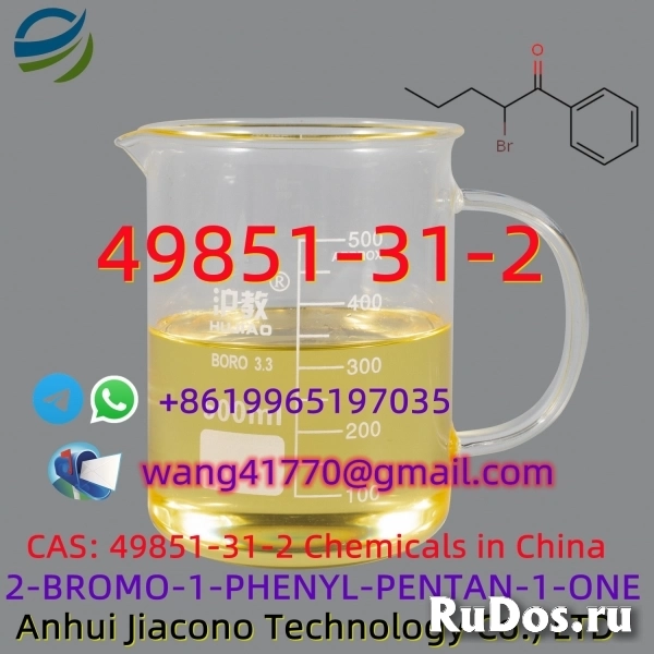 CAS 49851-31-2 2-Bromo-1-phenyl-1-pentanone фото