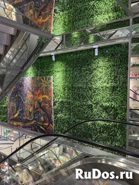 Сдам коммерческую недвижимость 80 м2 фотка