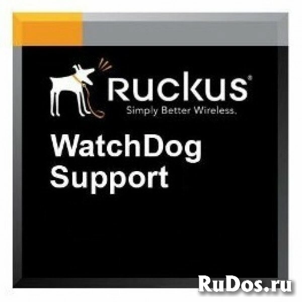 Программное обеспечение, лицензии, сервисные контракты Ruckus 806-R320-3000 фото