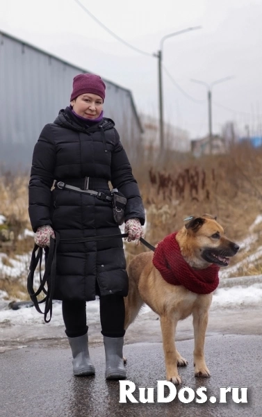 Хана: звезда, которая ждет своего часа! В добрые руки изображение 6