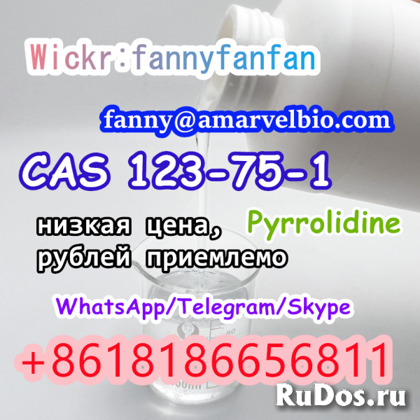 WhatsApp +8618186656811 CAS 123-75-1 Pyrrolidine изображение 4