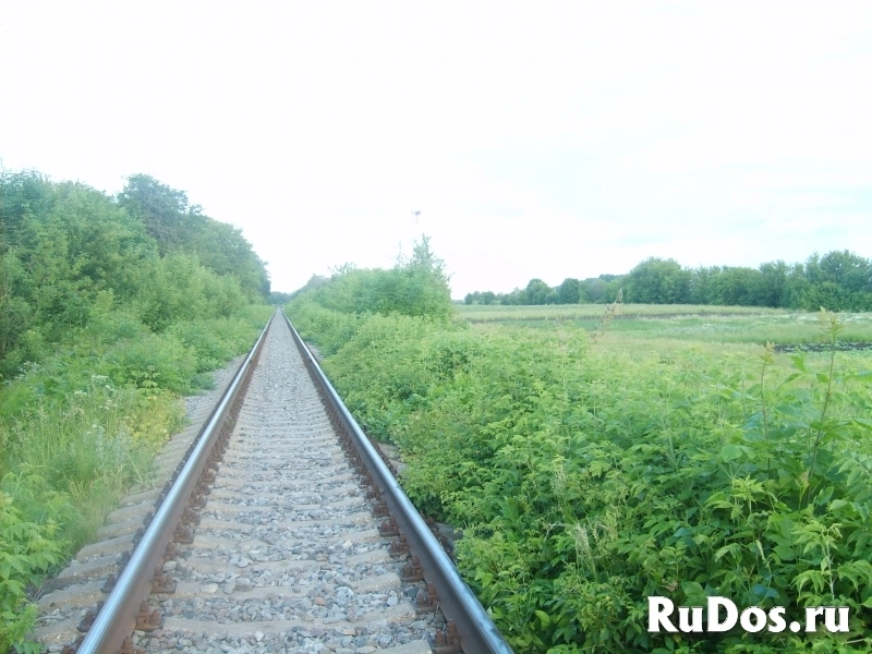 Продажа земельного участка изображение 4