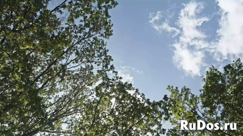 Продам коммерческую недвижимость 14 м2 фото