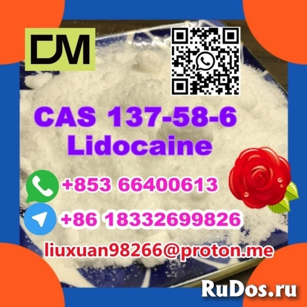 Manufacturer Supply Raw Material CAS 137-58-6 Lidocaine изображение 11